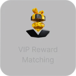 VIP Reward Matching